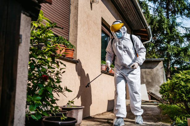 Best Mosquito Control Services  in Emsworth, PA
