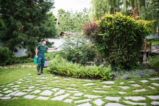 Best Residential Pest Control  in Emsworth, PA