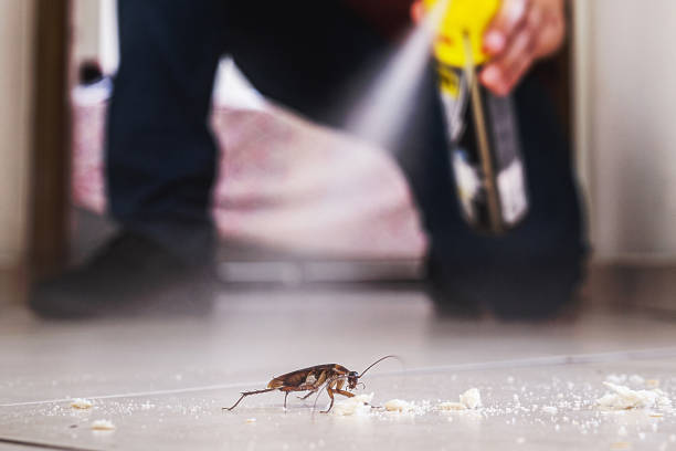 Professional Pest Control in Emsworth, PA