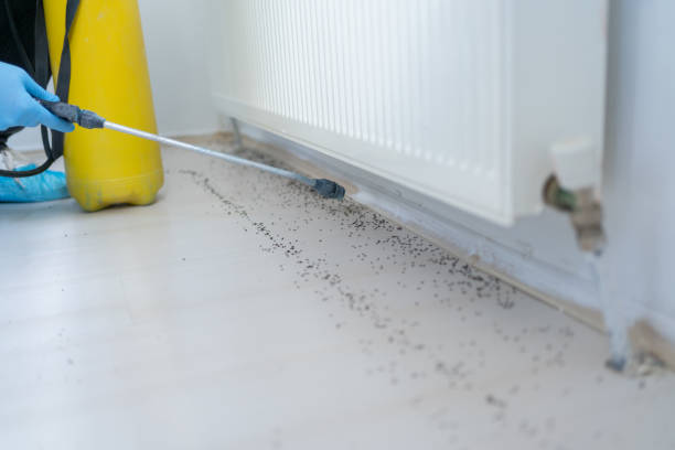 Best Local Pest Control Services  in Emsworth, PA