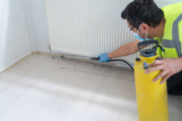 Best Pest Prevention Services  in Emsworth, PA